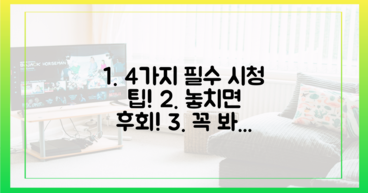 4가지 필수 시청 팁