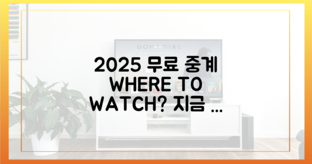 2025년, 무료 중계 어디서 봐야 할까?