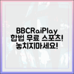 누구나! 합법 무료 스포츠 중계 BBC iPlayer, RaiPlay 이용법