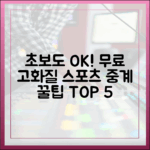 초보도! 스포츠 중계 무료 고화질 꿀팁 TOP 5