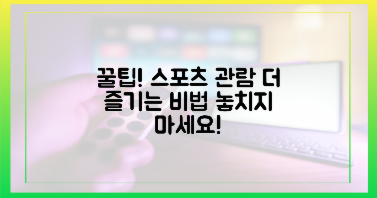 꿀팁으로 스포츠 관람 즐기기