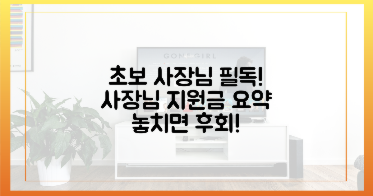 초보 사장님, 지원 요약