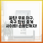 초보도 꿀팁! 무료 야구, 손흥민까지 합법 중계 사이트