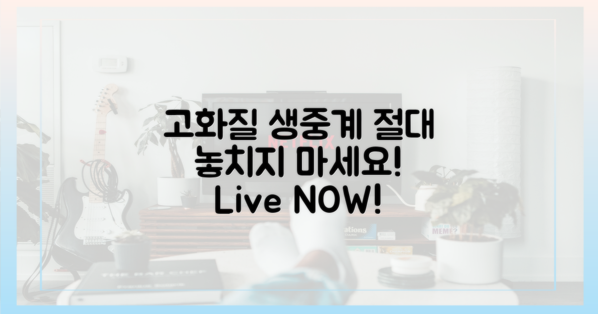 고화질 생중계, 놓치지 마세요