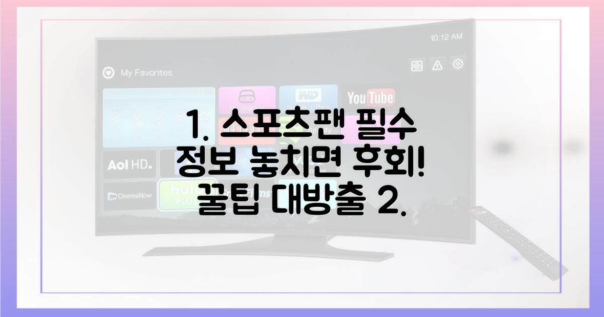 스포츠 팬이라면 꼭 알아야 할 정보