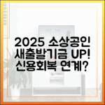 2025년 소상공인 새출발기금, 신용회복 연계될까?