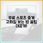 무료 스포츠 중계: 고화질 시청법 마스터하기
