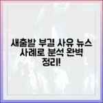 새출발기금 부결 사유, 뉴스 사례로 완벽 분석!