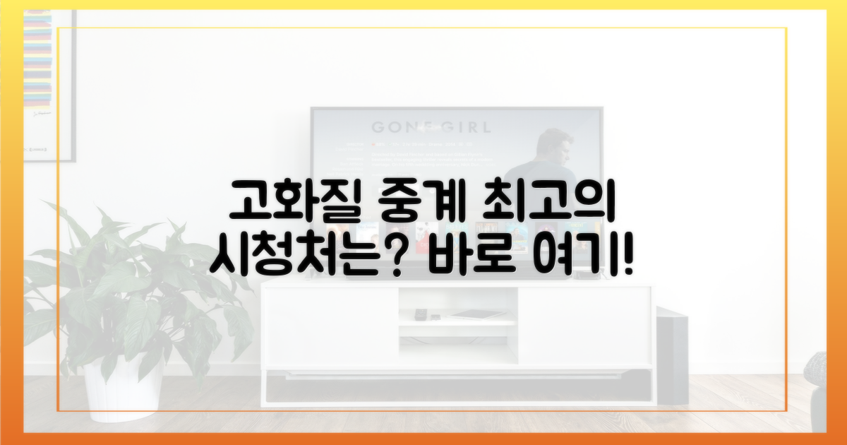 고화질 중계, 어디서 볼 수 있지?