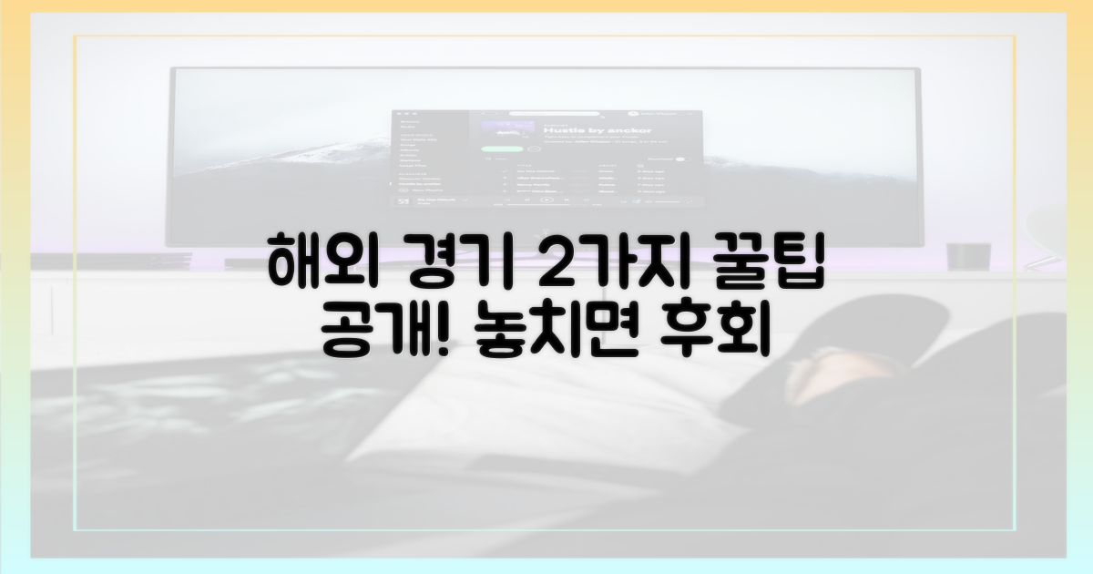 2가지 해외 경기 시청