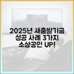 2025년 소상공인 새출발기금: 성공 사례 3가지