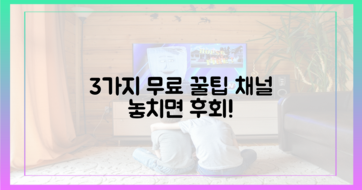 3가지 무료 채널 안내