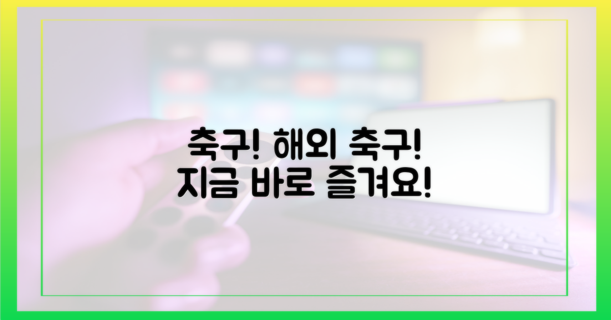 해외축구를 즐겨보세요!