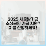 2025 새출발기금, 소상공인 긴급 지원 받을 수 있을까요?