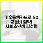 사회초년생 꿀팁: 기후동행카드로 교통비 50% 절약!