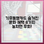 기후동행카드, 숨겨진 문화 혜택 8가지 총정리