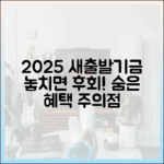 2025년 소상공인 새출발기금, 숨은 혜택과 주의점은?