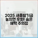 2025년 소상공인 새출발기금, 숨은 혜택과 주의점은?