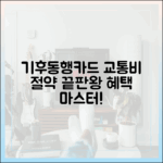 기후동행카드: 교통비 절약 끝판왕, 혜택 마스터!