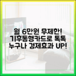 월 6만원 무제한! 기후동행카드로 누구나 경제 효과 톡톡