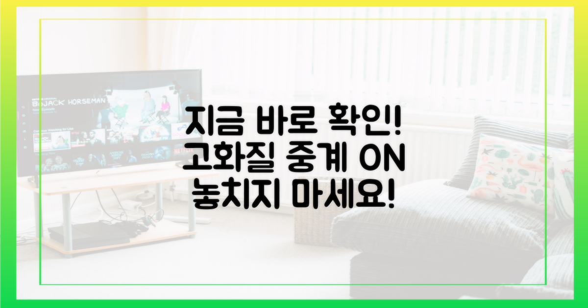 지금 바로 고화질 중계를 확인하세요!