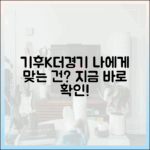 기후/K/더경기, 나에게 맞는 건 뭘까?