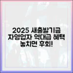 자영업자 주목! 2025년 새출발기금, 놀라운 혜택!