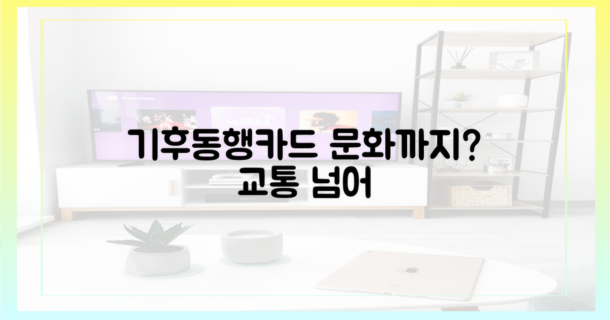 기후동행카드, 교통 넘어 문화까지?