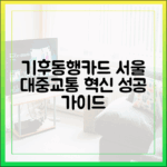 기후동행카드: 서울 대중교통 혁신, 성공 마스터 가이드