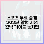 스포츠 중계 무료 사이트? 2025년 합법적으로 보는 법?!