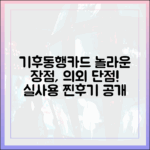 기후동행카드 실사용자, 놀라운 장점과 예상 못한 단점!