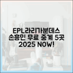 2025 EPL/라리가/분데스 손흥민 무료 중계 5곳
