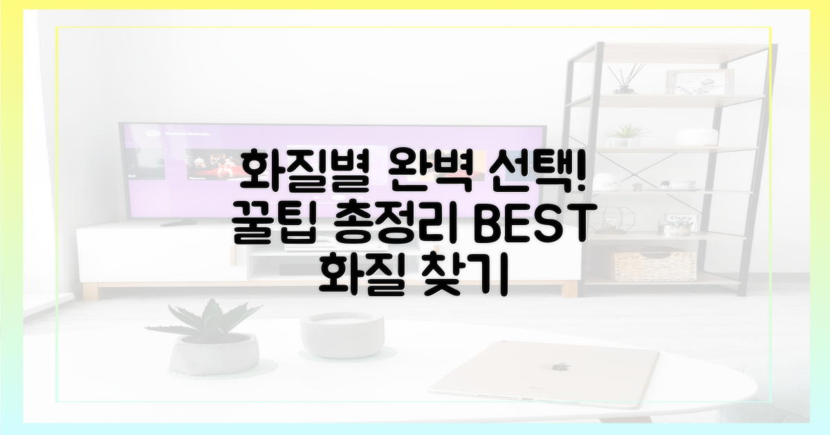 화질별 선택 가이드