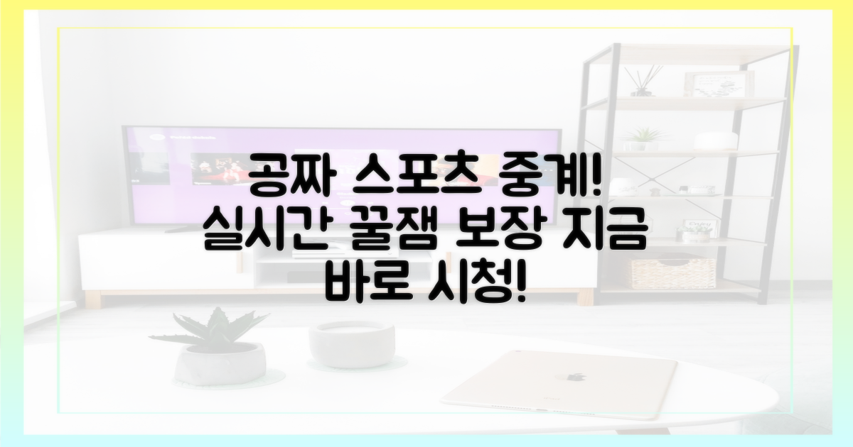 이젠 공짜로 즐기세요! 실시간 스포츠 중계