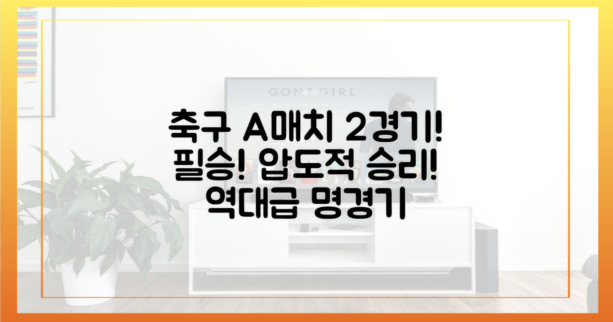 2가지 국가대표 경기