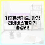 기후동행카드, 한강 리버버스까지? 최신 변경사항 총정리!