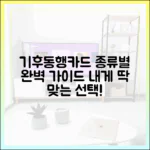 놀라운 선택! 내 생활 패턴 맞춤 기후동행카드 권종 완벽 가이드