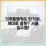 서울 여행 필수품! 기후동행카드 단기권, 제대로 쓸까?