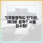 서울 여행 필수품! 기후동행카드 단기권, 제대로 쓸까?
