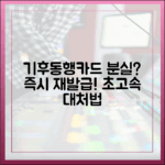 기후동행카드 분실? 놀라운 재발급 초고속 대처법!