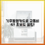 초보도 꿀팁! 기후동행카드로 교통비 싹!