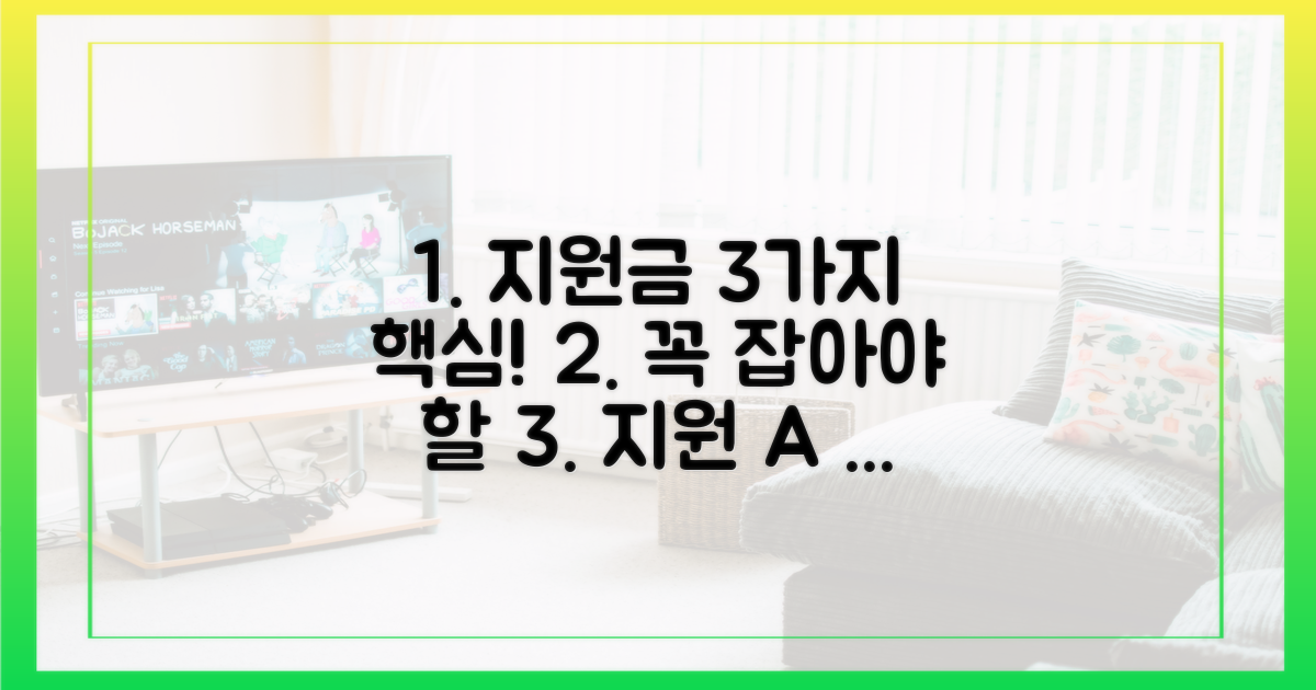 3가지 지원 핵심 내용