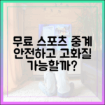무료 스포츠 중계, 안전하게 고화질로 즐길 수 있을까?