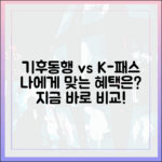 기후동행 vs K-패스, 나에게 유리한 카드는?