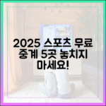 2025년 무료 스포츠 중계 사이트 5곳
