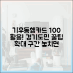 경기도민 100% 활용! 기후동행카드 사용법 & 확대 구간