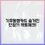기후동행카드: 숨겨진 단점? 팩트체크!