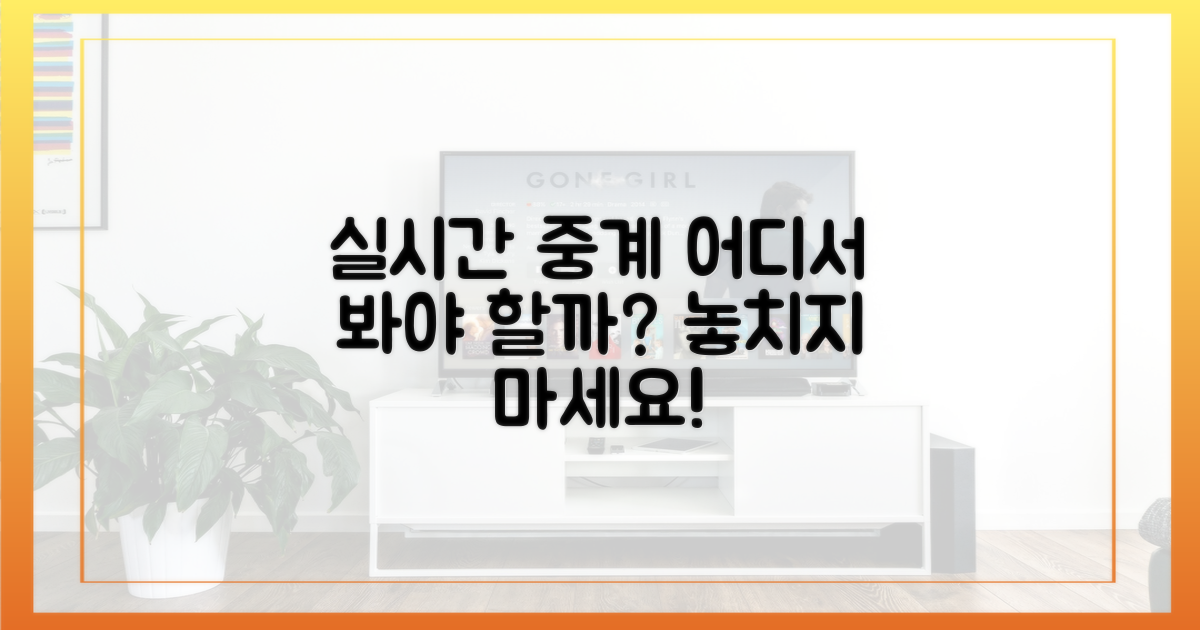 실시간 중계, 어디서 봐야 할까?