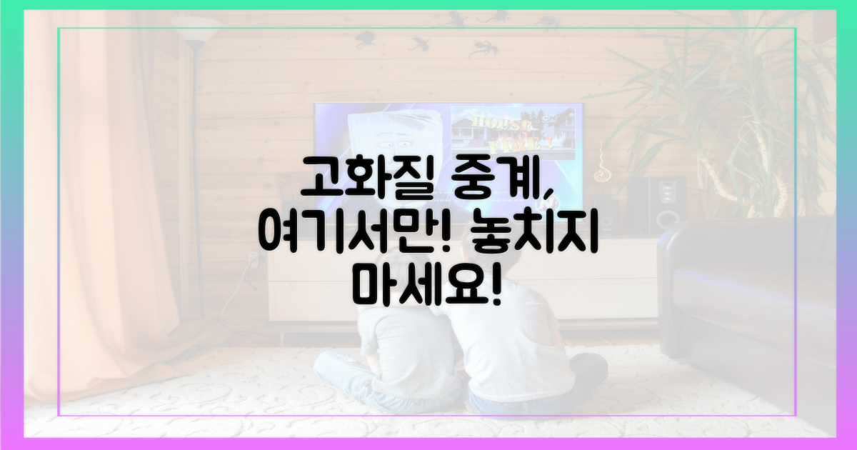 고화질 중계, 어디서 볼 수 있나?