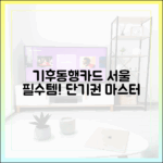 서울 여행 필수품: 단기권 기후동행카드 마스터하기